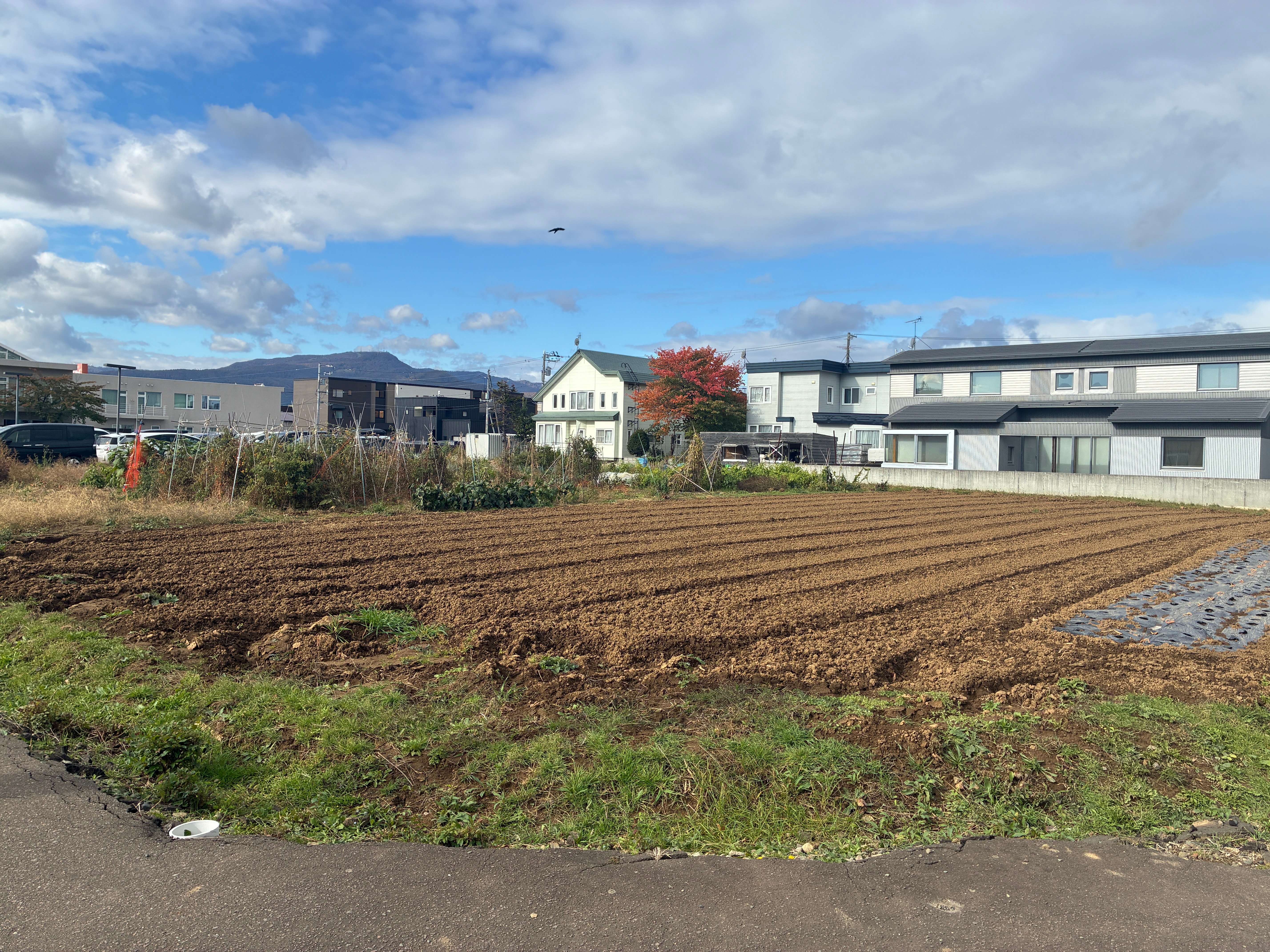 クラインガルテン（2025年10月）