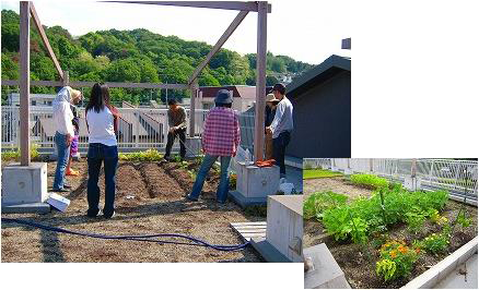 seiseki_common garden