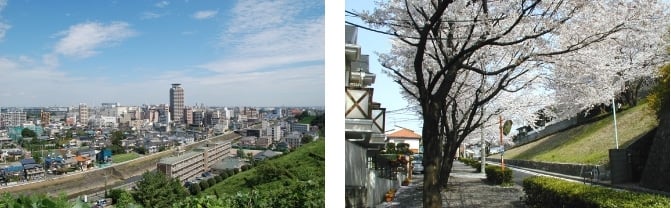 seiseki18 seiseki18